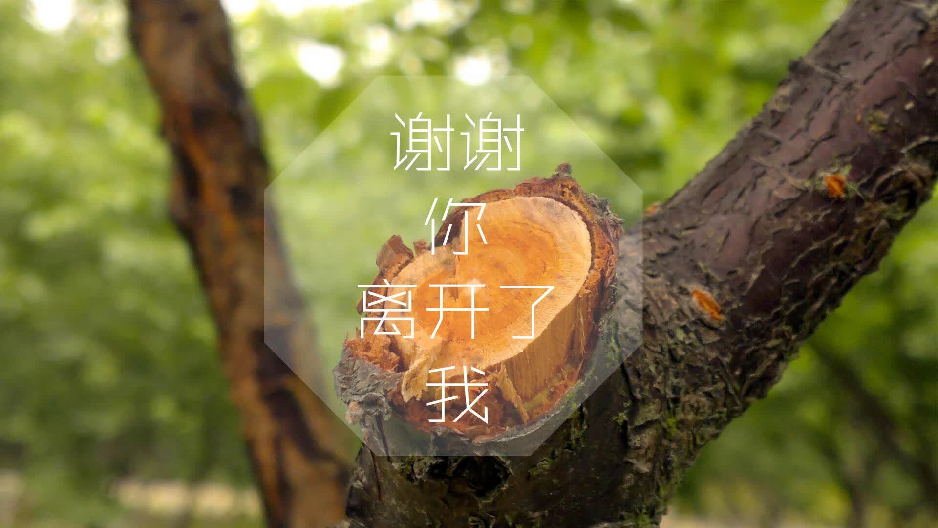 2026年电助力自行车：值得买吗？品牌推荐，国内最好的电助力自行车品牌